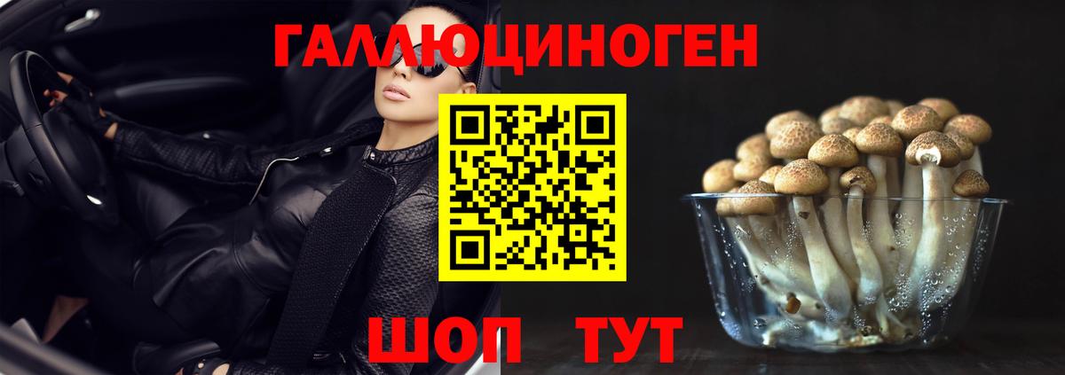 Галлюциногенные грибы Magic Shrooms  Вход с VPN  Мирный  закладка  Галлюциногенные грибы мицелий 